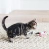 Fat Cat Eeeks Cat Toy with Catnip