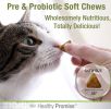 Four Paws Healthy Promise Pre and Probiotic Supplement for Cats