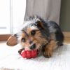 KONG Classic Durable Natural Rubber Chew, Chase, and Fetch Dog Toy
