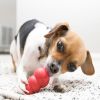 KONG Classic Durable Natural Rubber Chew, Chase, and Fetch Dog Toy