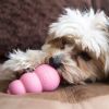 KONG Puppy Teething Chew Toy