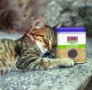 KONG Naturals Premium Catnip Grown in North America