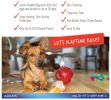 Adams Flea and Tick Home Spray