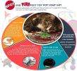 Spot Stringy Mice and Balls Catnip Cat Toys