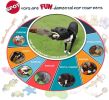 Spot Vinyl Soccer Ball Dog Toy Assorted Colors