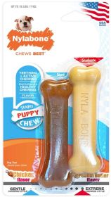 Nylabone Puppy Chew Twin Pack Petite (Size: 2 count)