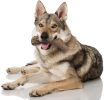 Nylabone Power Chew Antler Alternative Venison Flavor