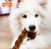 Nylabone Power Chew Alternative Braided Bully Stick Giant